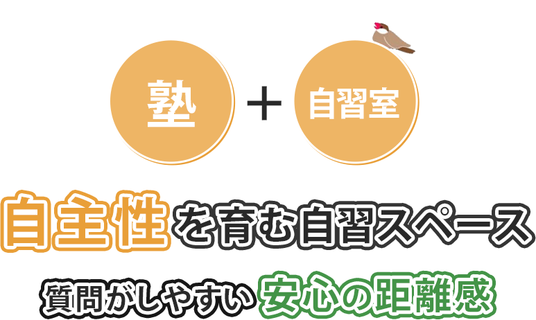 自主性を育む自習スペース