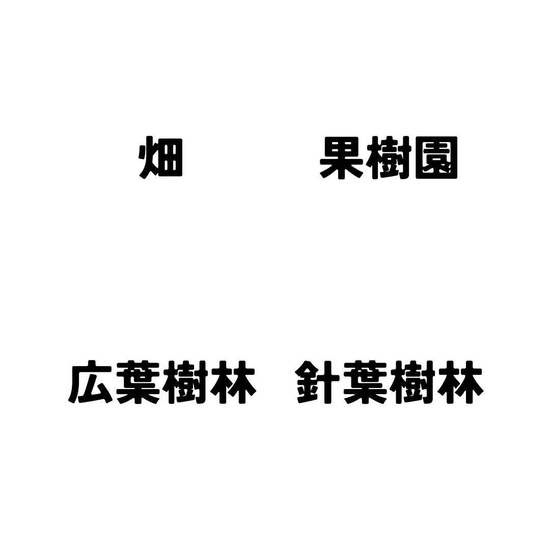 来週のミニチャレです！